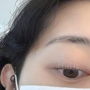 세븐일레븐 의정부 평화점 | 속눈썹 찐텐 후기 보러 왔다면 제대로 찾아왔지롱~