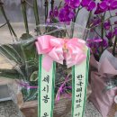 킴스여성의원 네이버블로그