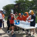 TNF 이미지
