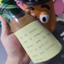 음성수초가 왜이리 커?! &#34;미크로소리움 라운드리프&#34;수조에 넣다