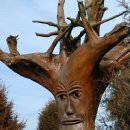 나무한그루 이미지