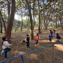 창포초 병설유치원 이미지