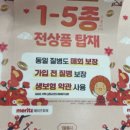퍼펙트로스트볼안산 이미지