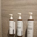 DIANA호텔 | [홍콩댁 해외출장] 🗾 일본 출장 중 묵었던 긴자 호텔 - AC Hotel by Marriott Tokyo Ginza