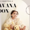 문스튜디오 - 여수시 도원로 283 | 문스튜디오