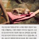 근원농장 이미지