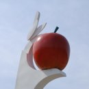 군도1호 이미지