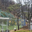 당산경로당 | 청주 크리스마스 실내데이트 당산 생각의 벙커 다녀온 후기