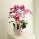 내당2.3동행정복지센터 이미지