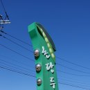 콩마을 Daum카페