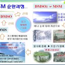 MSM 이미지