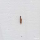 갈맷길돼지국밥 이미지