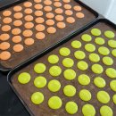 관악-현장-관악-929 | 영등포제과제빵학원 자격증 취득부터, 진로 파악까지