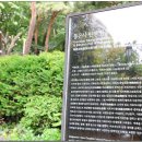 봉은사판전신중도 이미지