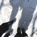 선자령 | 선자령 설산 트레킹 후기 [풍력발전기와 함께 걷는 겨울 산행/등린이 추천 코스/GPX 첨부]