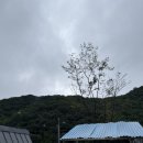 어울림펜션(별빛마당) | [공주 숙소] 공주독채펜션 대전근교펜션 별빛스테이