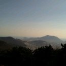 목석원예관 Daum카페