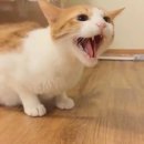 미르스포츠용품