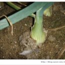 윗말농장 이미지