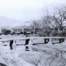 김해한우뒷고기 - 37026 | 김해한우뒷고기