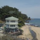 세븐일레븐 정동진해변점 네이버블로그