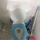변기막힘 네이버블로그