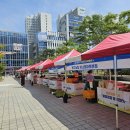 별빛광장 이미지