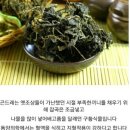 건강약초 이미지