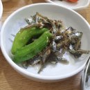 더 멸치
