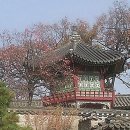 취운정 이미지