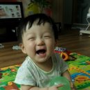 바티헤어