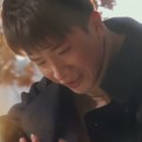 황금주머니 이미지