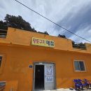황토식당 | 울릉도 서면 태하리 간단한 점심 혼밥 식당 추천 황토구미 매점 솔직후기