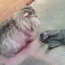 대동화원 이미지