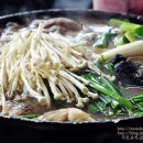 코리안덕 이미지