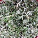 홈수제 앙금플라워 떡케이크 만들기 이미지