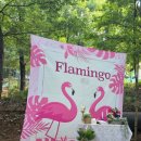 정관무지개유치원 이미지