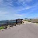 오조리-5 이미지