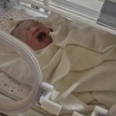 유양산전 | 임신 33주부터 출산한달까지 벌써 신생아 졸업이라니