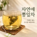 자연애 - 전주시 덕진구 건산로 131-1 | 자연애 뽕잎차 후기, 카페인 없는 구수한 데일리차 냉침으로도 좋아요