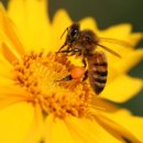 365열린가정의학과의원 이미지