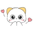 웰니스 펫뷰티 이미지