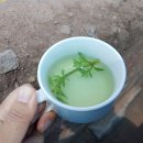 푸노야