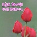 I'll Remember You/ Be Who You Are/ Shape of My Heart(첼로)/ Cheri Lady 이미지