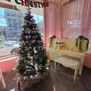 신천 | 대구 신천역 맛집 핑크 인테리어가 아주 예쁜 최고당 돈가스 신천점 후기