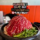 [내포맛집] 백년불고기물갈비 I 산더미 소물갈비 후기 (강아지동반,양 깡패, 내돈내산 )