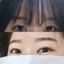 엘비스튜디오 | 엘비뷰티스튜디오 lb뷰티스튜디오 수진역 모란역 성남 속눈썹펌 잘하는곳