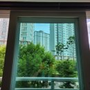 파주아파트유리창청소 해솔마을5단지 삼부르네상스 유리창청소후기