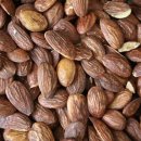 브라운 휘트니스 이미지