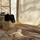 구름이네 | 구름&amp;또또네 장박일기 3탄 🐶 에어텐트 붕괴 사건 😂| 반려견 장박 캠핑 후기